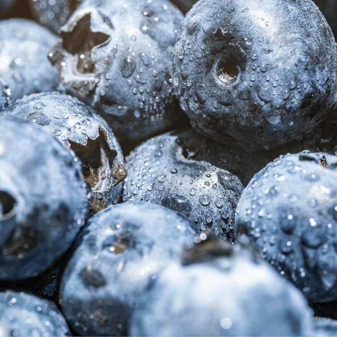 06_Weight-Loss--Backed-By-Science_002