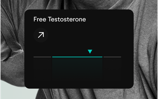 Free Testosterone (1) Free Testosterone (1)