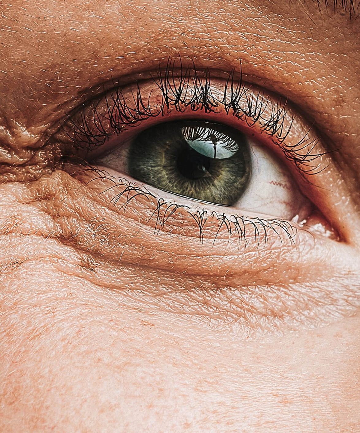 Close-up of a woman's eyes