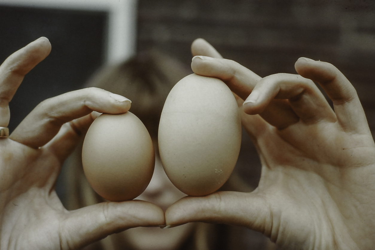 Male Vitality Super Bundle CHOQ™