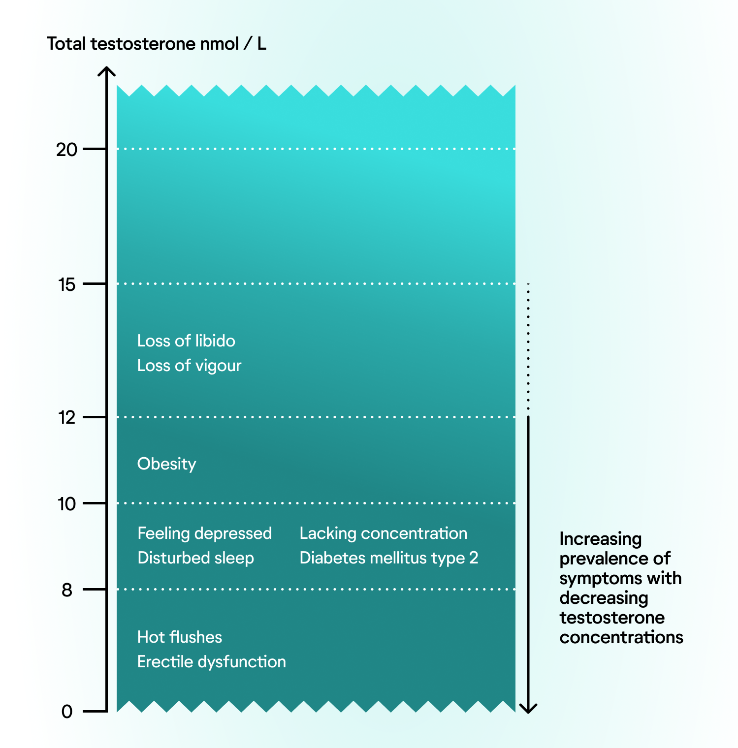 The Best High-Protein Bean To Eat For Weight Loss