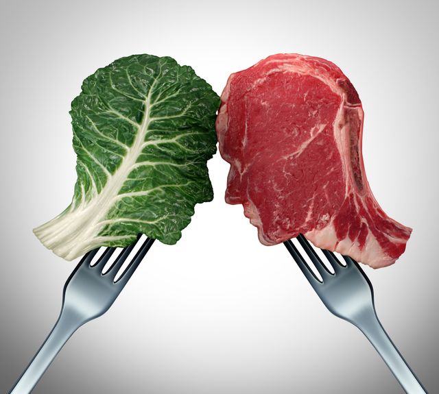 meat vs vegan gut