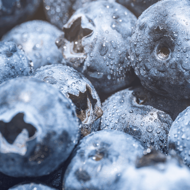 04_Weight-Loss--Wegovy-Pill_005