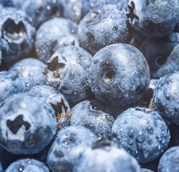 health-coaching_005