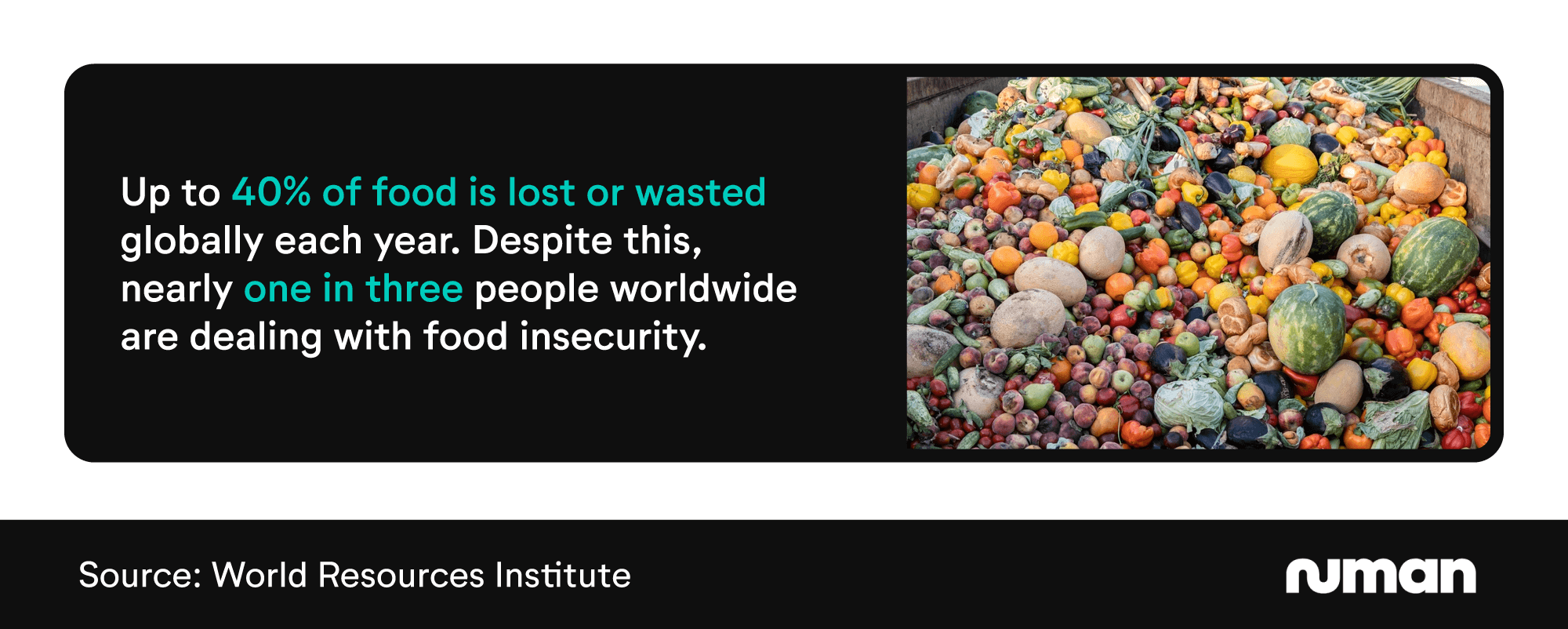 Mini infographic showing the percentage of food that's lost or wasted around the world each year
