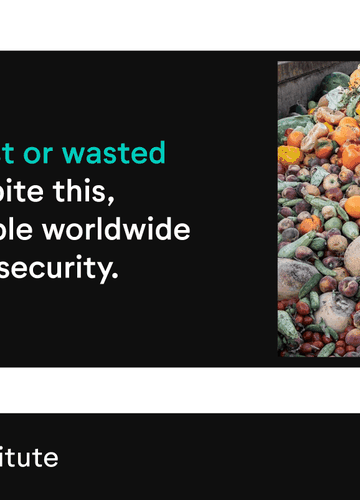 Mini infographic showing the percentage of food that's lost or wasted around the world each year