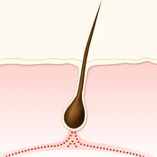How minoxidil helps
