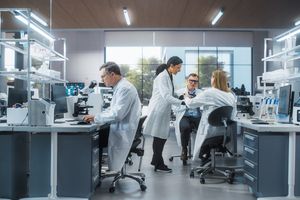 lab