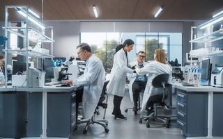 lab