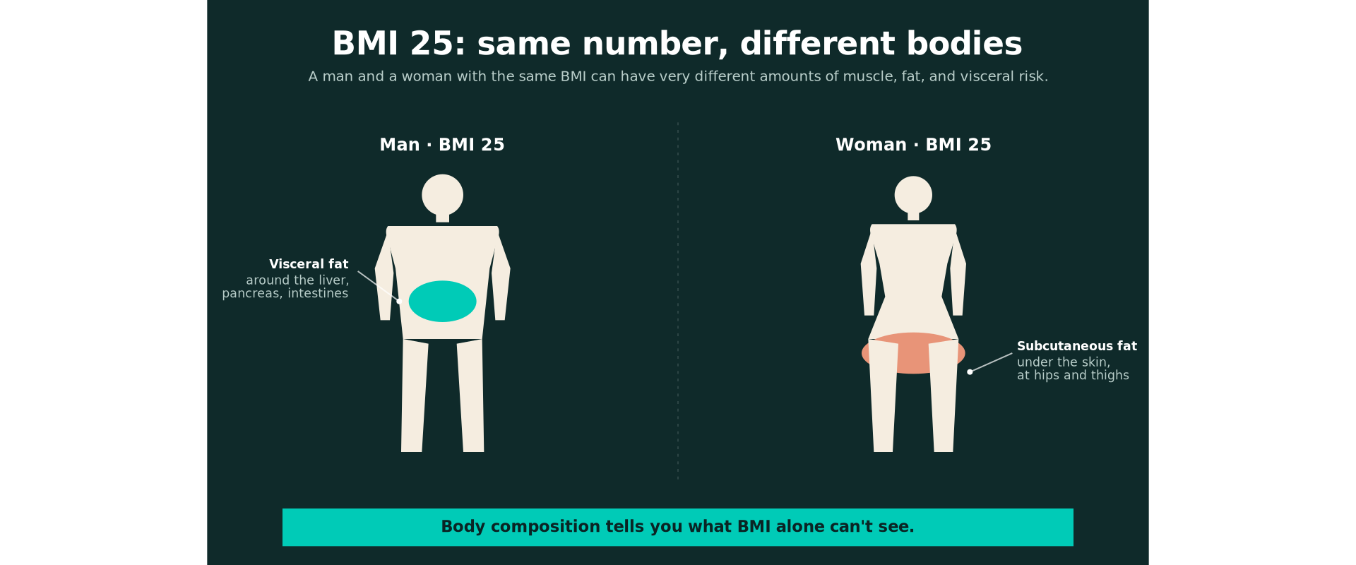 bmi infographic showing men vs women