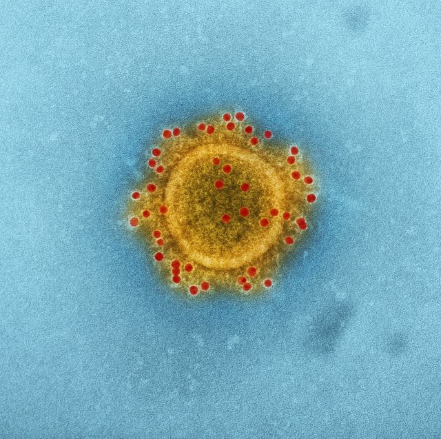 bacteria-microbiome-gut