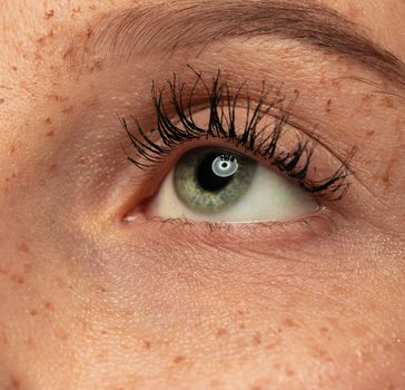 Supplements Supplements