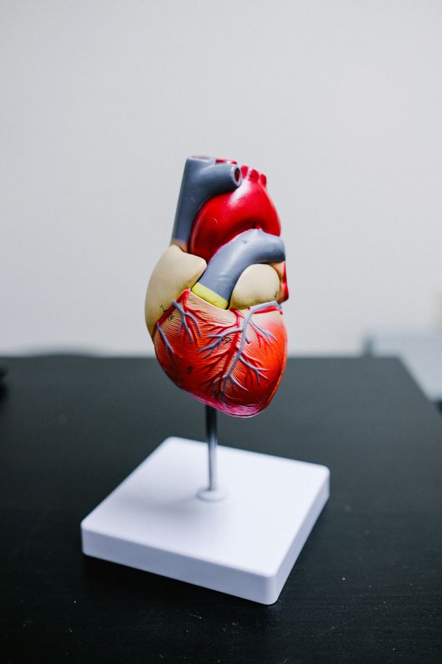 heart-disease