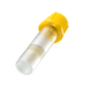 Collect your blood sample