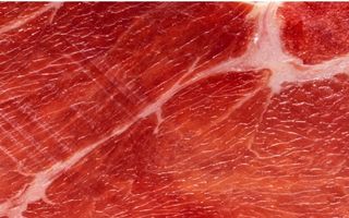 30_Muscle-Loss-Pillar_015