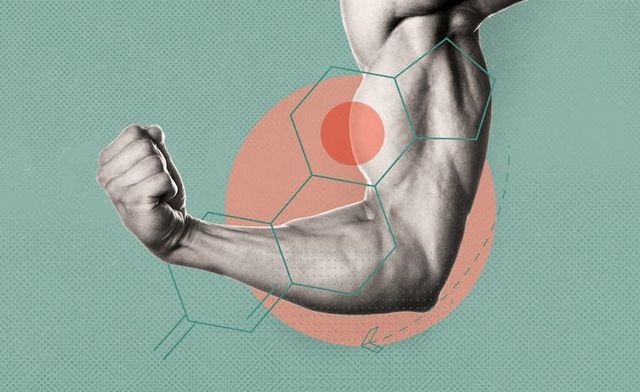 Testosterone-what-part-does-it-play-in-your-erections