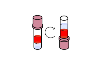Step12