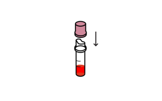 Step11