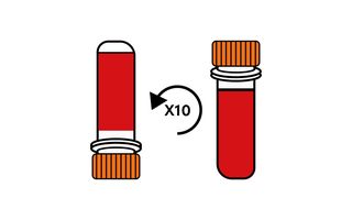 Step 12