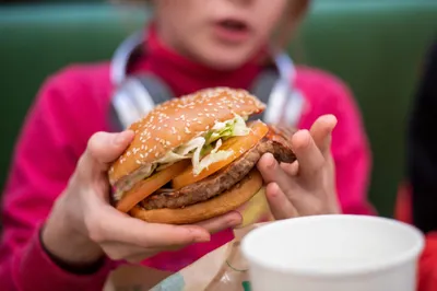 Resilient by design:  Why hybrid meat has the potential to rewrite protein supply chains