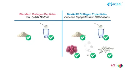 Morikol® Marine Collagen – Clinically proven, low-dose, formulation-ready