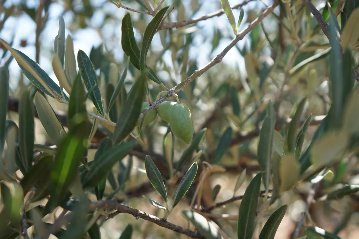 ACI Group urges brands to strengthen supplier oversight as regulatory and sustainability pressures intensify