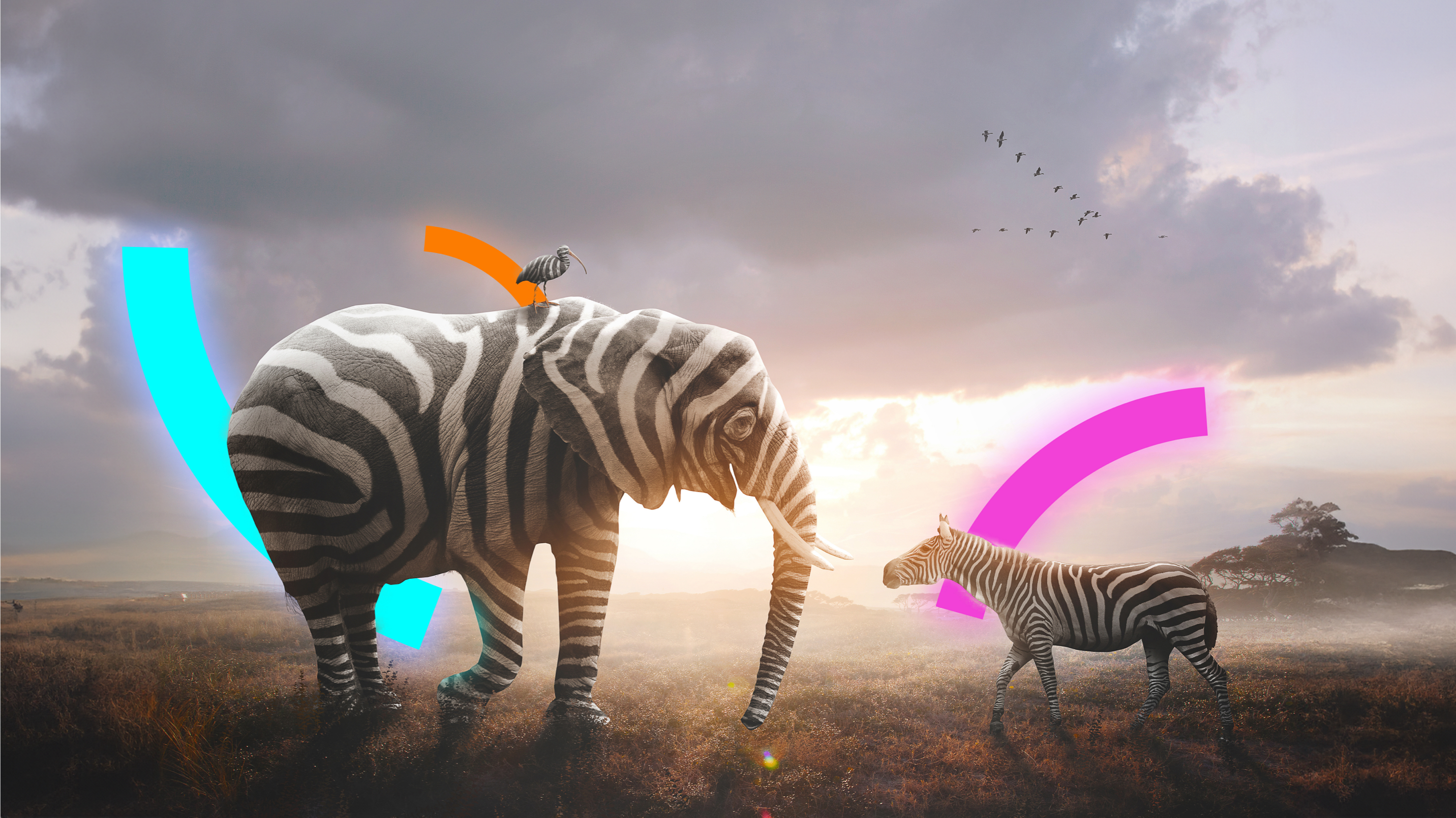 Bridging the Gap Between Web Development and Creative Design ...