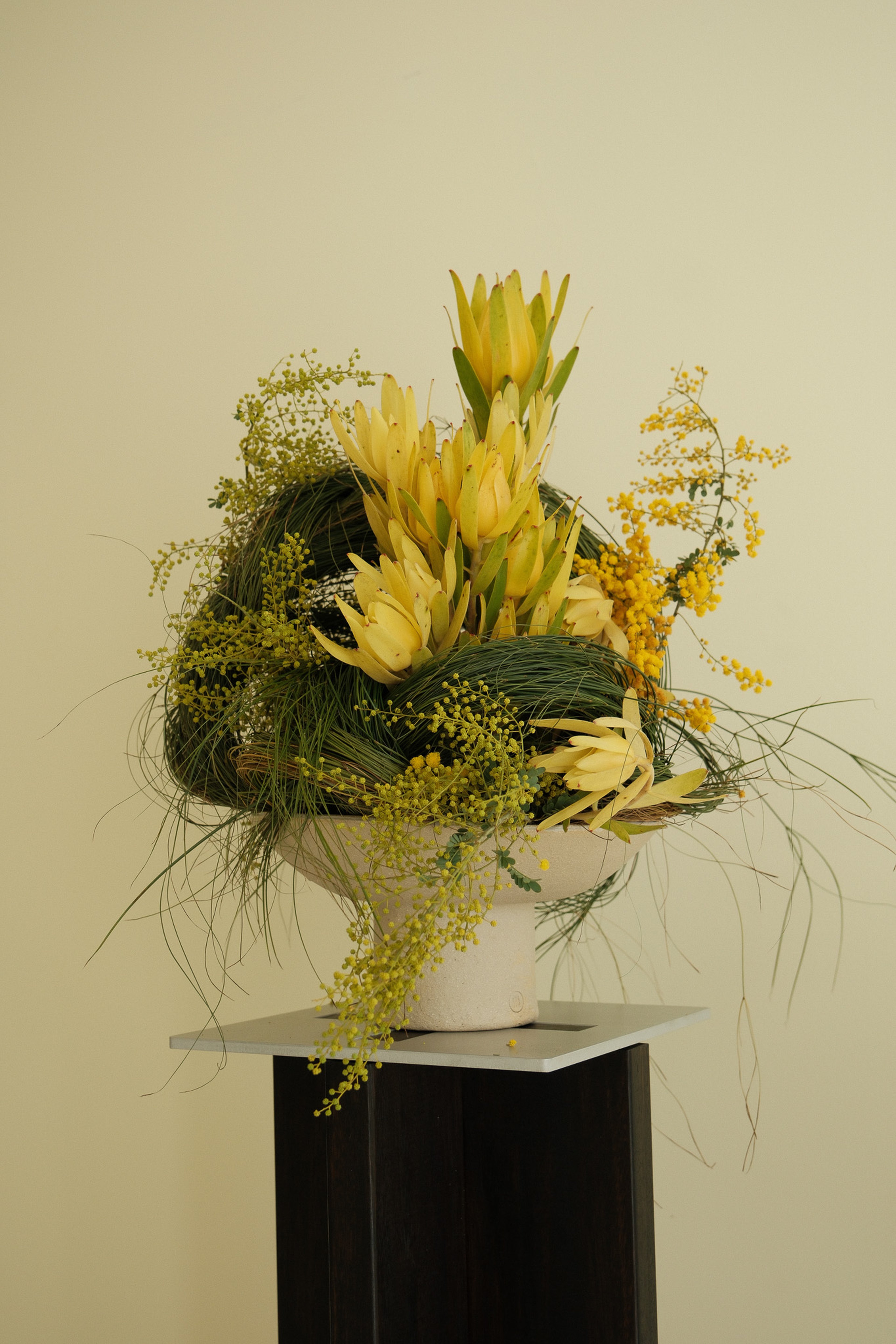 Braer Studio: A Multidisciplinary Space 