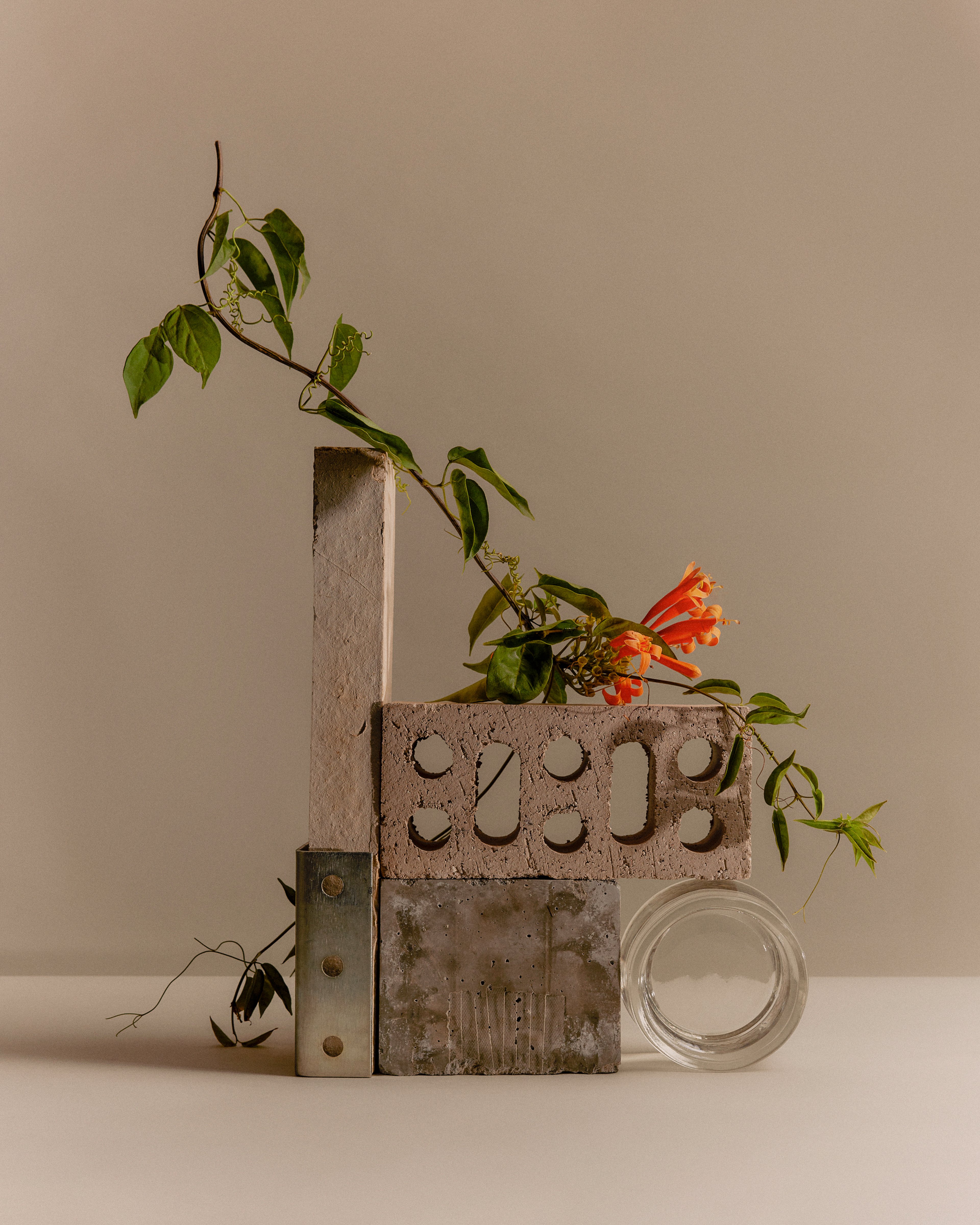 Banksia Drive Still Life