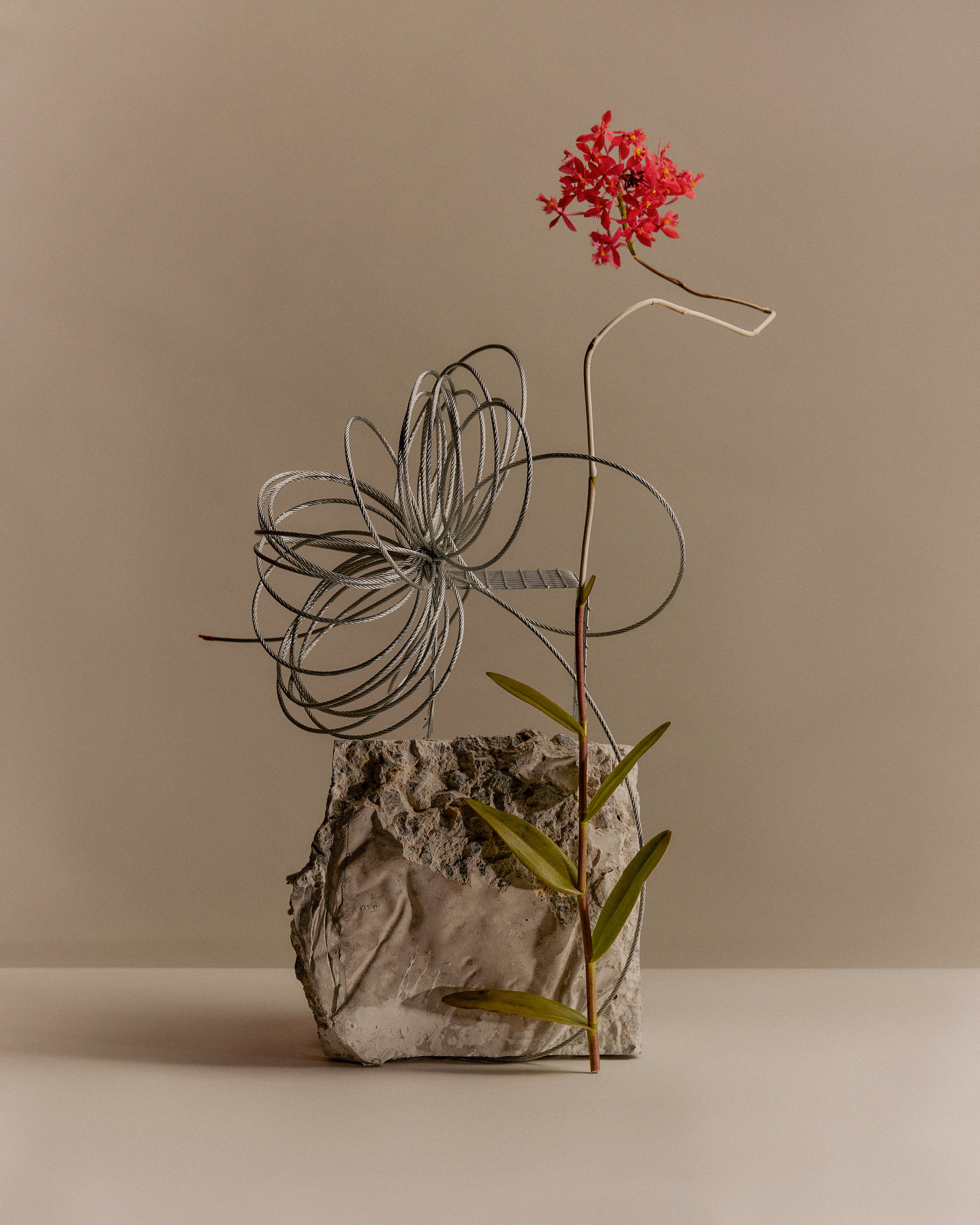 Banksia Drive Still Life