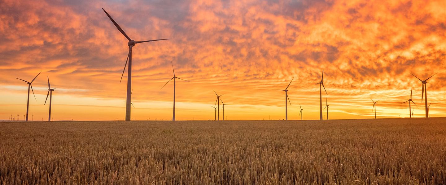 Strom: Windmühlen auf einer Wiese bei Sonnenuntergan