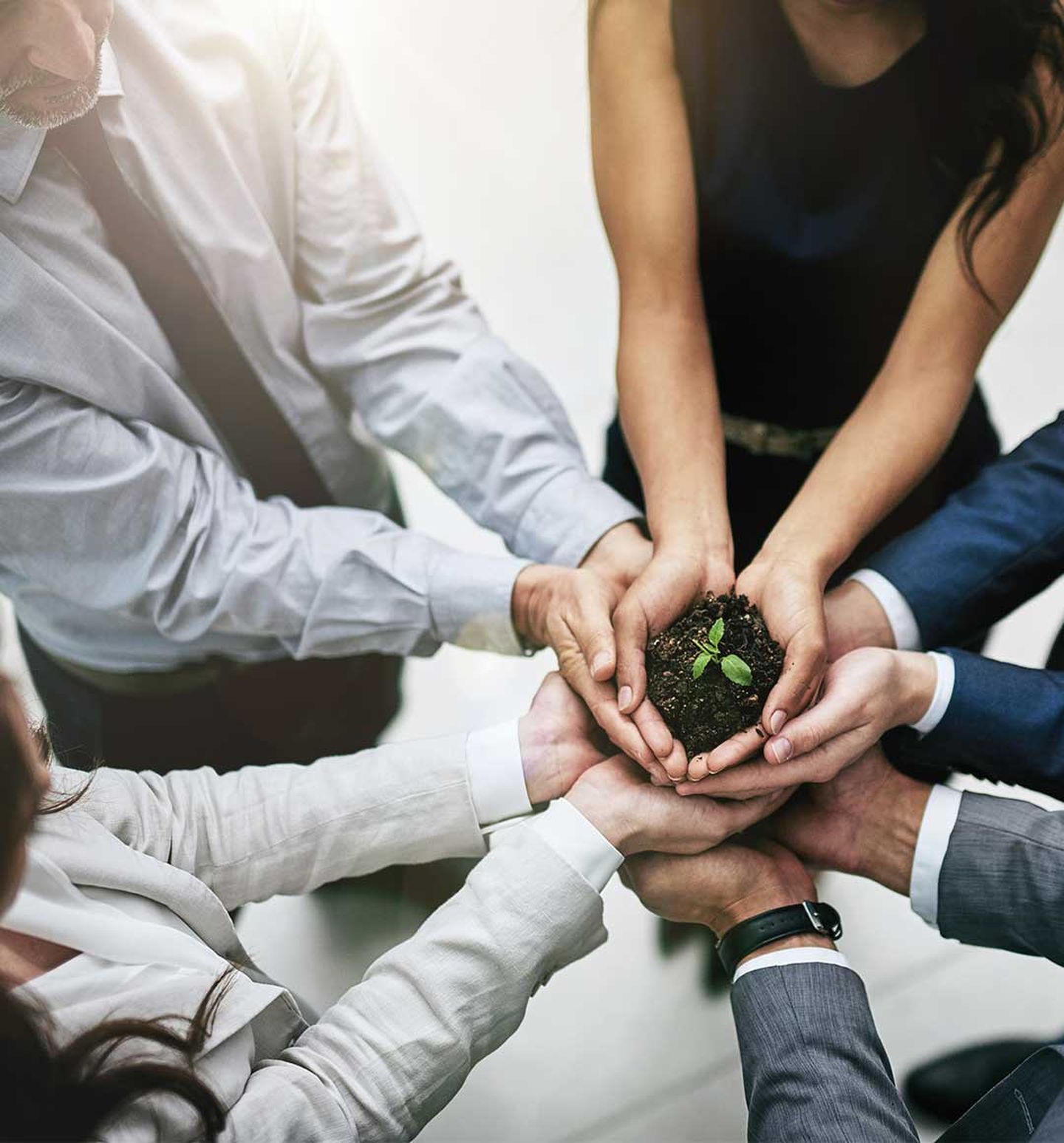 Viele Hände tragen einen Sätzling in Erde © Cecilie_Arcurs / E+ via Getty Images