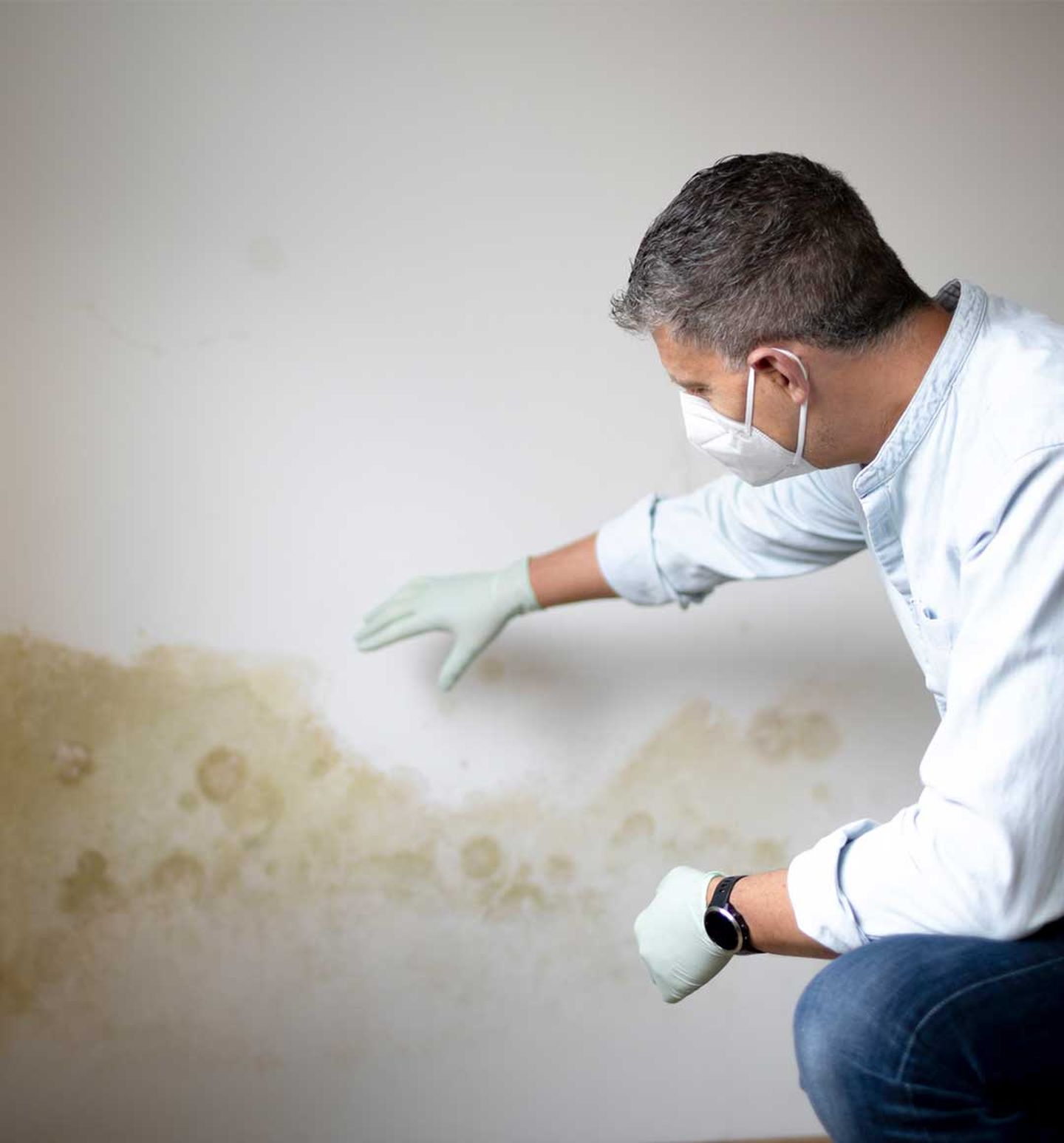 Ein Schimelexperte untersucht Schimmel an einer Wand