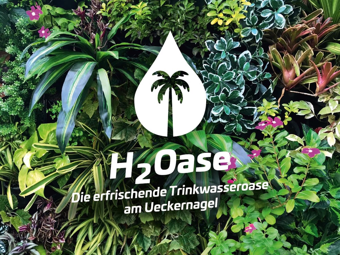 H2Oase - Die erfrischende Trinkwasseroase am Ueckernagel