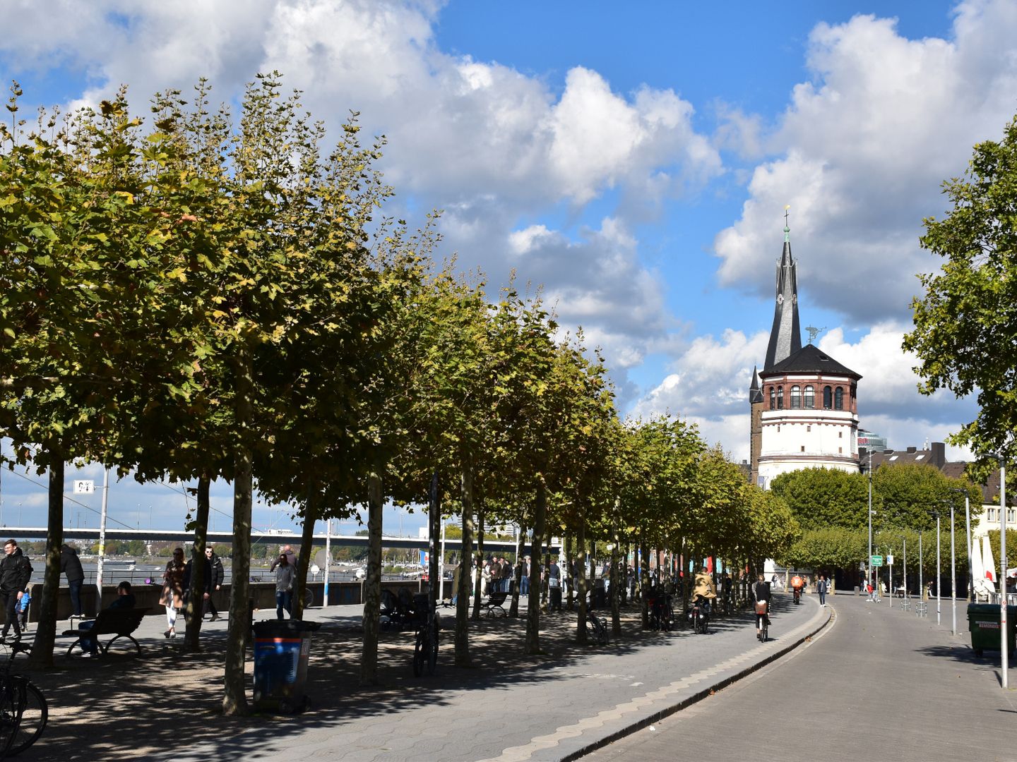 Platanen am Rheinufer mit Blick auf den Schlossturm, 2022, Thomas Belz