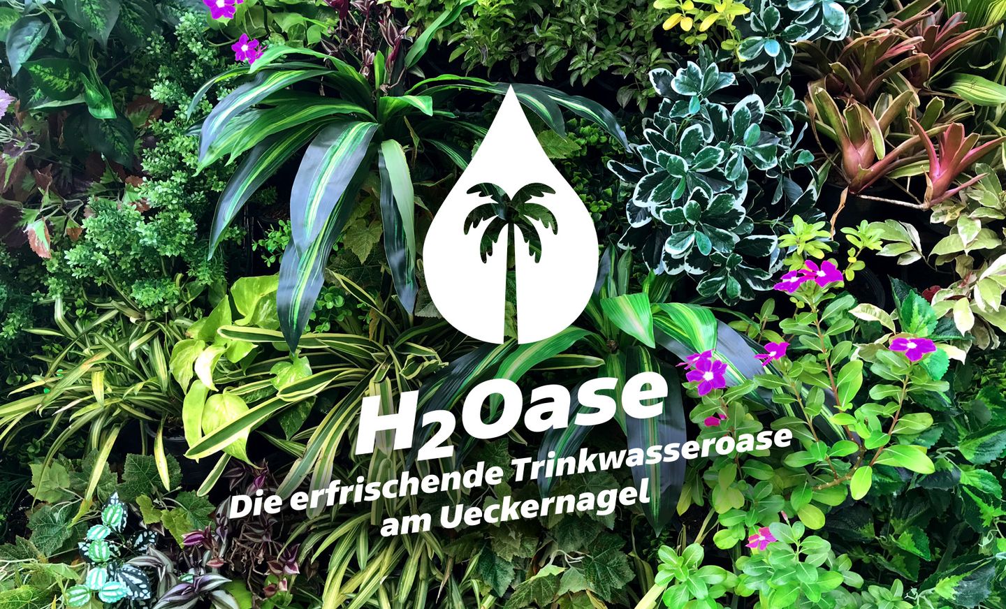 H2Oase: Die erfrischende Trinkwasseroase am Ueckernagel