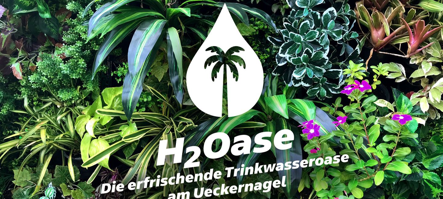 H2Oase: Die erfrischende Trinkwasseroase am Ueckernagel