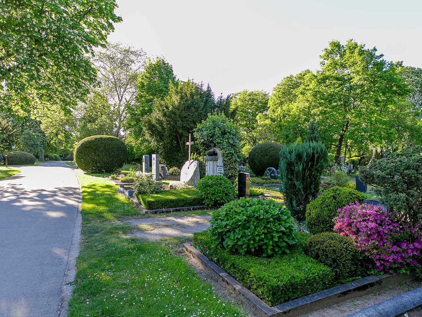 Ein Gehweg durch den Nordfriedhof in Düsseldorf Derendorf ©Ulrik Eichentopf