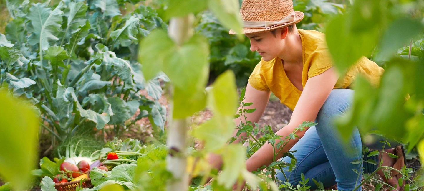 Ein junger Mann kniet in einem Gemüsefeld