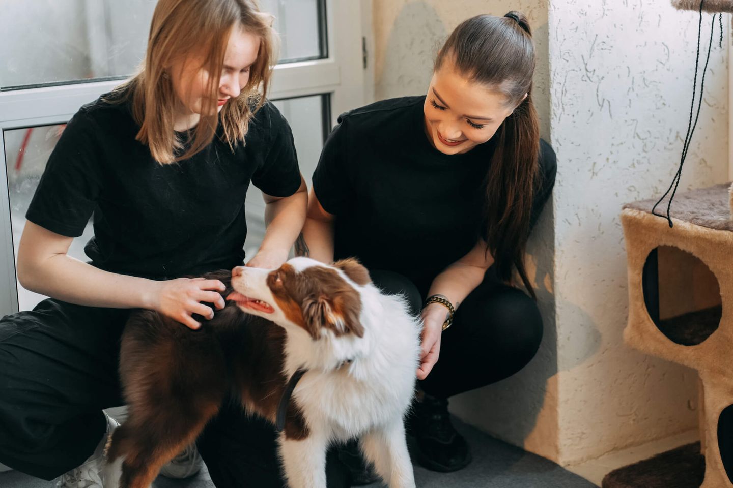 Zwei junge Frauen streicheln einen Hund im Tierheim. © Svetlana Repnitskaya / Moment via Getty Images © Svetlana Repnitskaya / Moment via Getty Images
