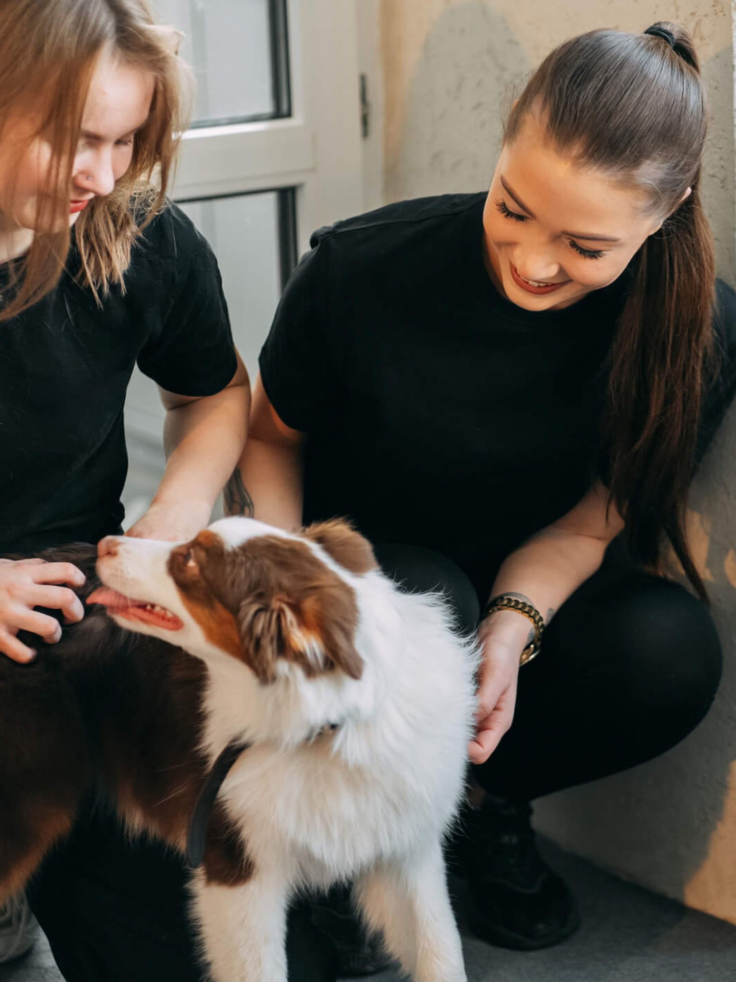 Zwei junge Frauen streicheln einen Hund im Tierheim. © Svetlana Repnitskaya / Moment via Getty Images © Svetlana Repnitskaya / Moment via Getty Images