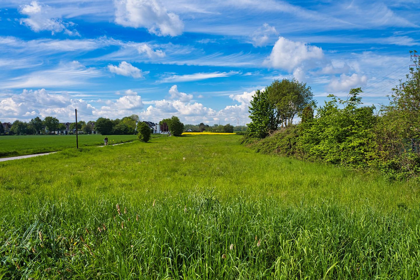 Eine grüne Wiese grenzt an einen Weg, auf dem eine Person mit dem Fahrrad entlang fährt. © Ventura Carmona / Moment via Getty Images