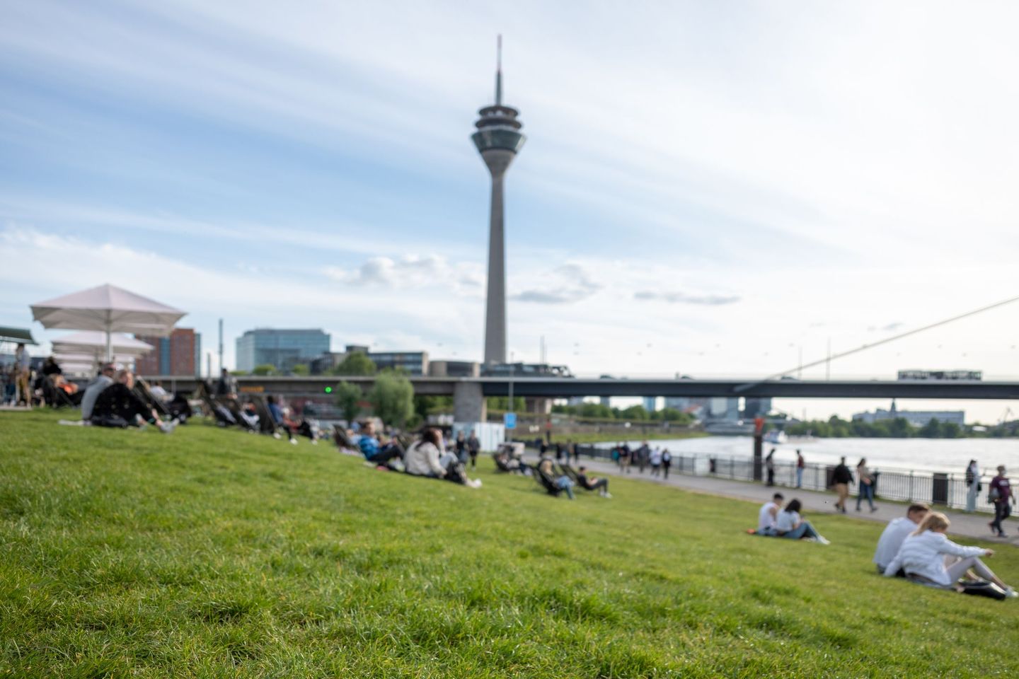 Menschen entspannen auf einer grünen Wiese am Rheinufer in Düsseldorf, im Hintergrund der Rheinturm. © Peeradon Warithkorasuth / Moment via Getty Images