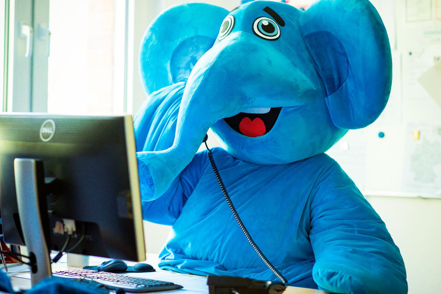 Das Maskottchen Blauer Elefant sitzt am Schreibtisch vor einem Computerbildschirm und telefoniert.