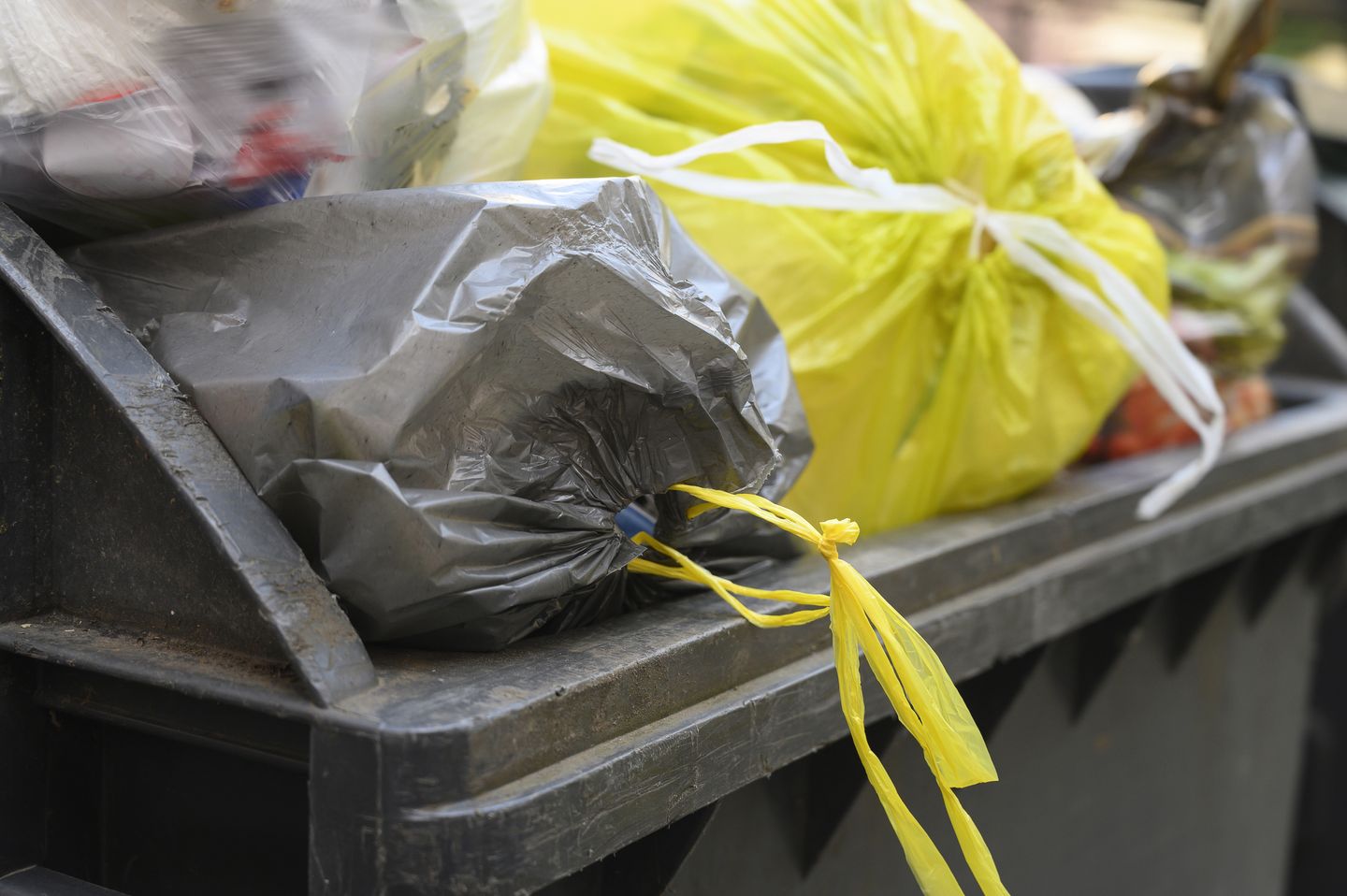 Detailaufnahme einer schwarzen Tonne mit mehreren Plastiksäcken darin. 