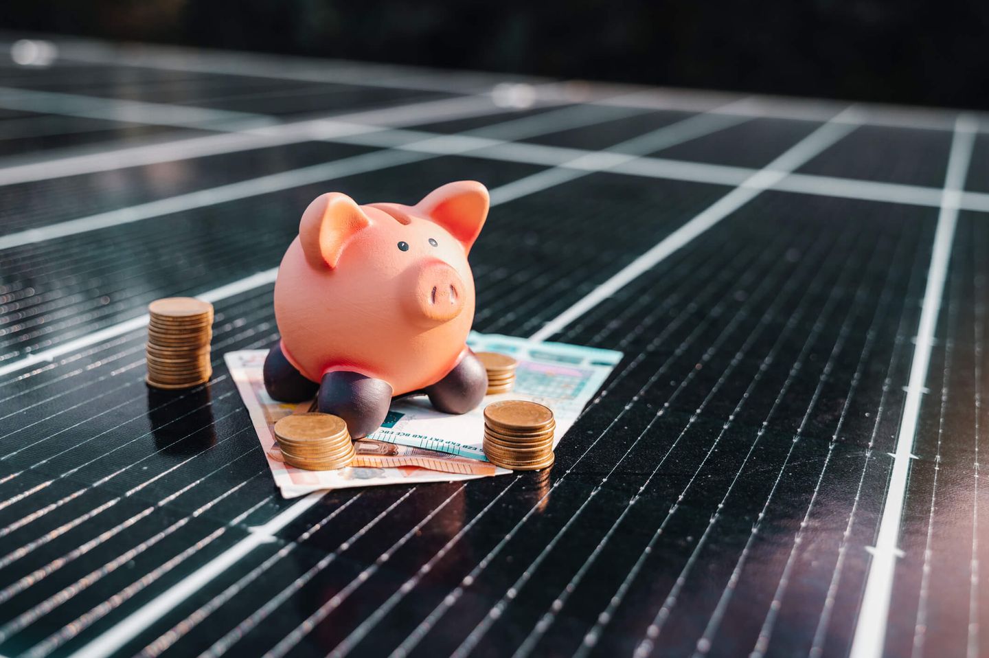 Ein Sparschwein und Münzen sowie Geldscheine liegen auf einem Solarpanel. © Mihail Minea / 500px / 500px via Getty Images