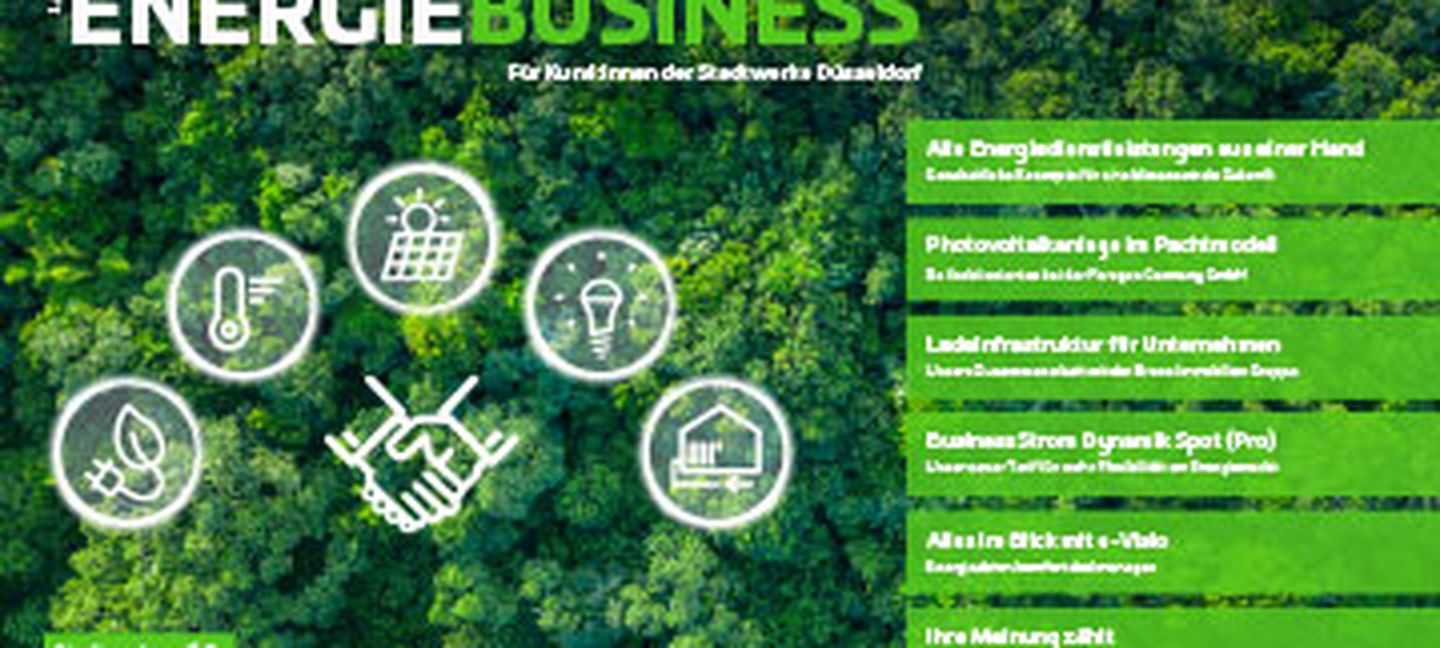 Vorschau der EnergieBusiness1/2025