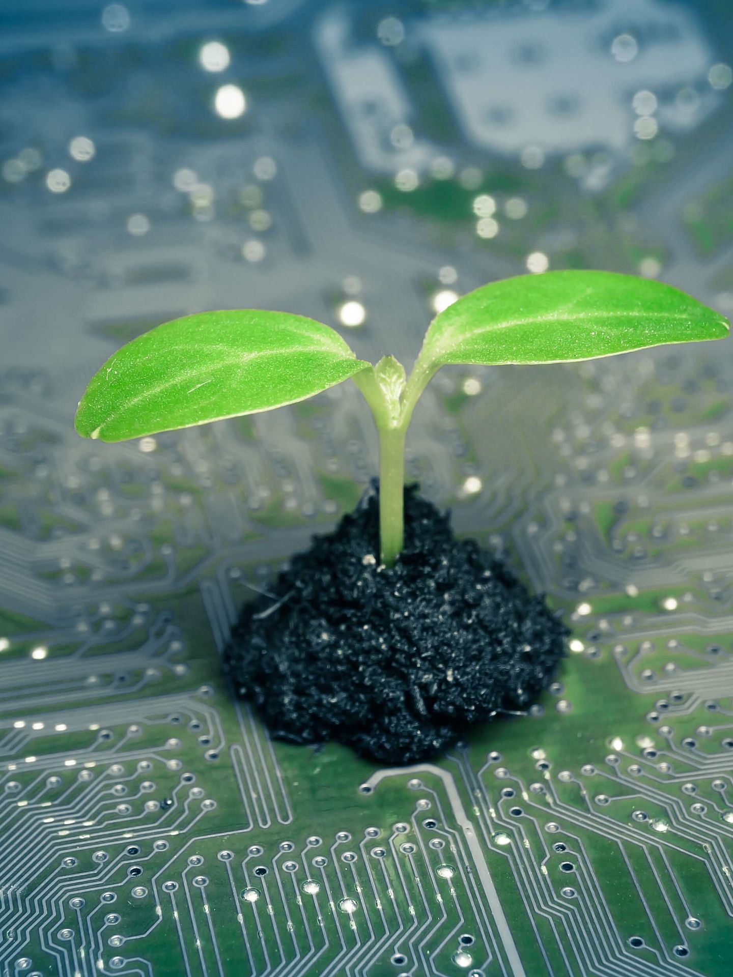 Ein grüner Sprössling wächst aus einem kleinen Erdhügel auf einer Computerplatine. © weerapatkiatdumrong / iStock via Getty Images