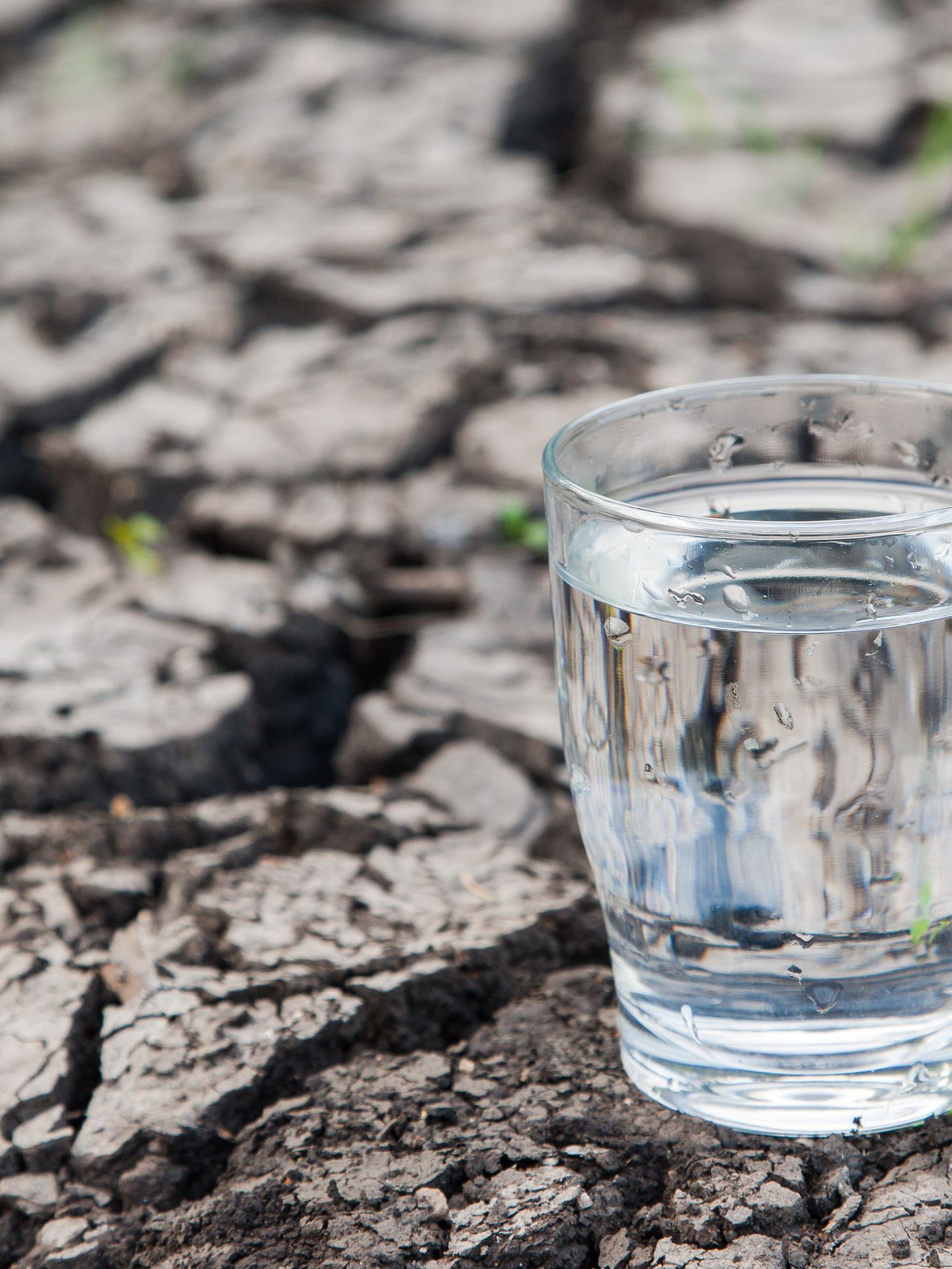 Glas mit Wasser auf trockenem, rissigem Boden Edgar G. Biehle via Getty Images