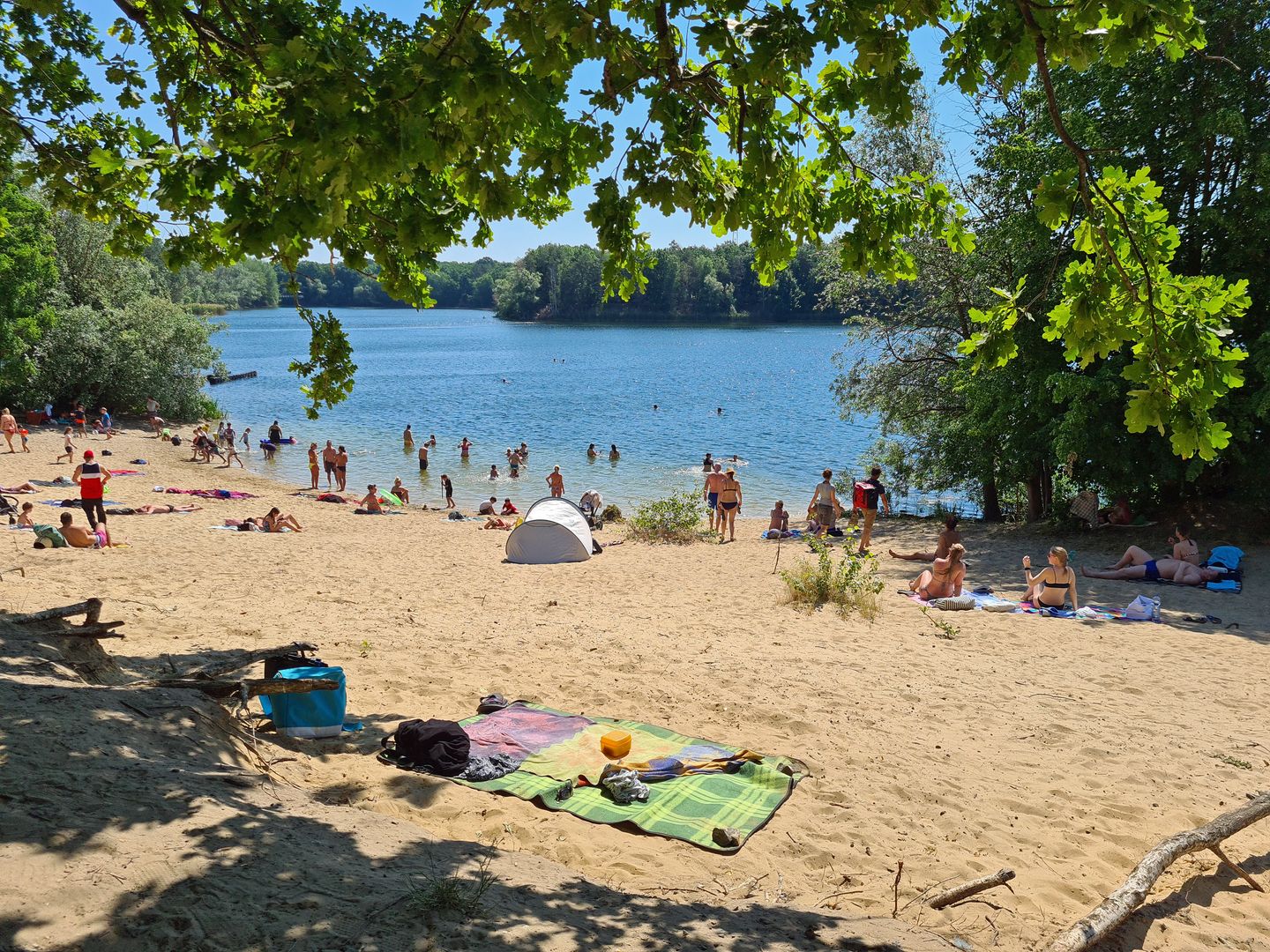 Badegäste an einem Sandstrand und im Wasser eines von Bäumen umgebenen Sees. © DinaSigtrix via Getty Images
